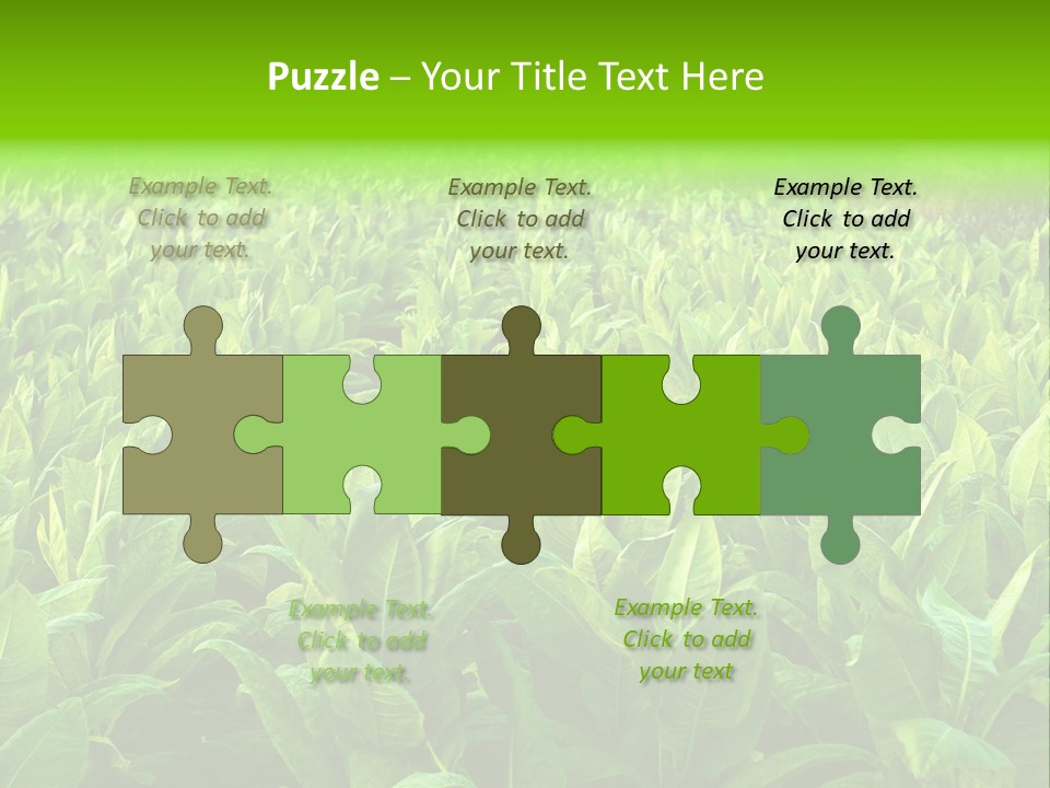 Farming Nature Plant PowerPoint Template