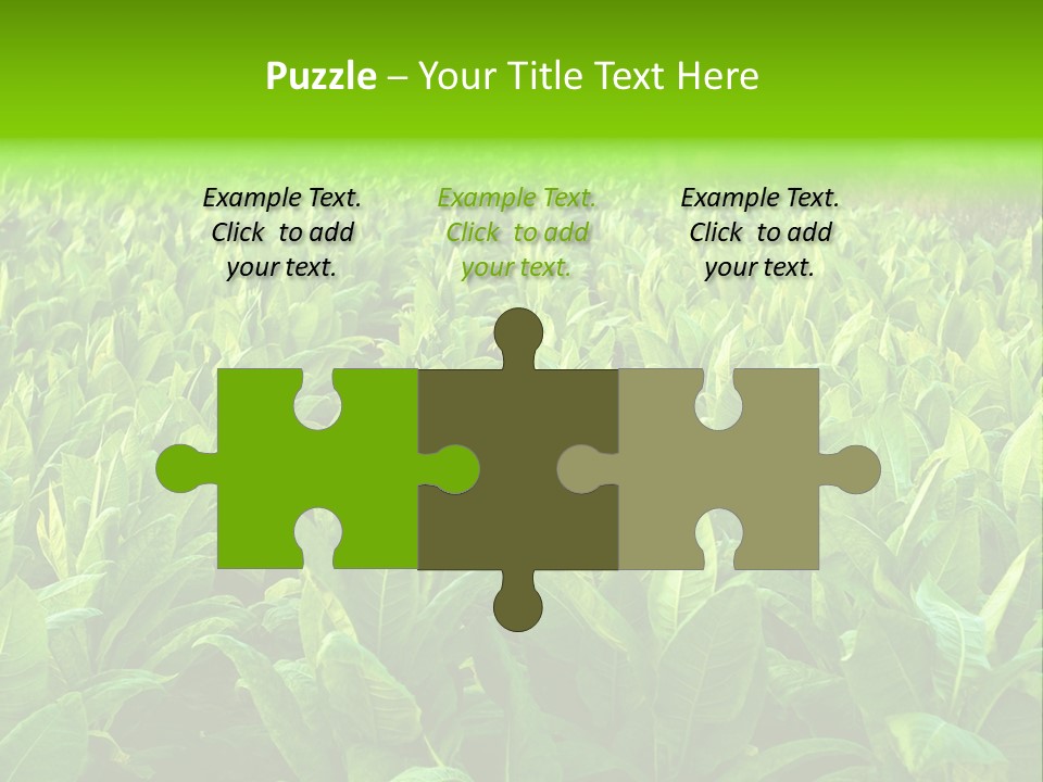 Farming Nature Plant PowerPoint Template