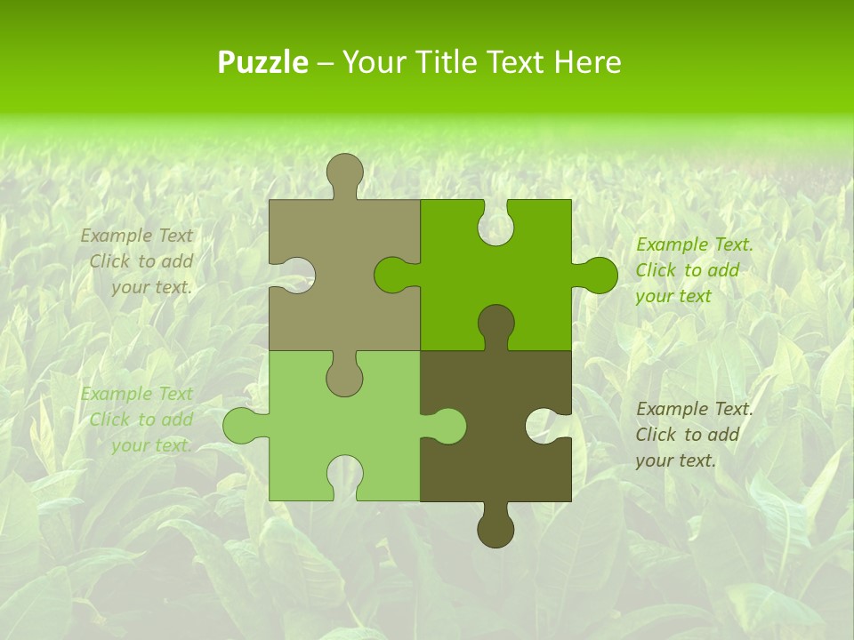 Farming Nature Plant PowerPoint Template