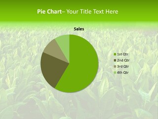 Farming Nature Plant PowerPoint Template
