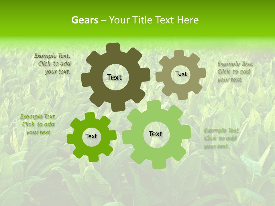 Farming Nature Plant PowerPoint Template