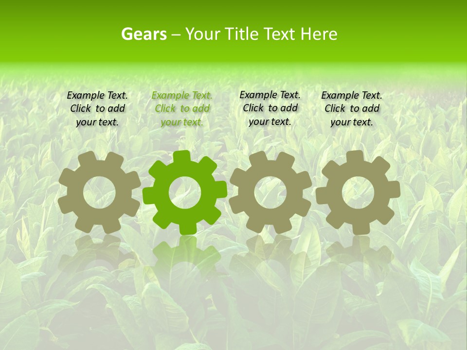 Farming Nature Plant PowerPoint Template