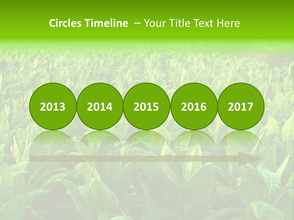 Farming Nature Plant PowerPoint Template