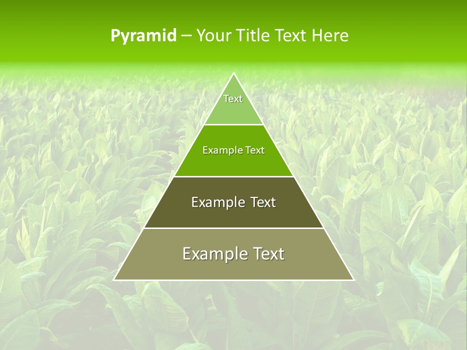 Farming Nature Plant PowerPoint Template