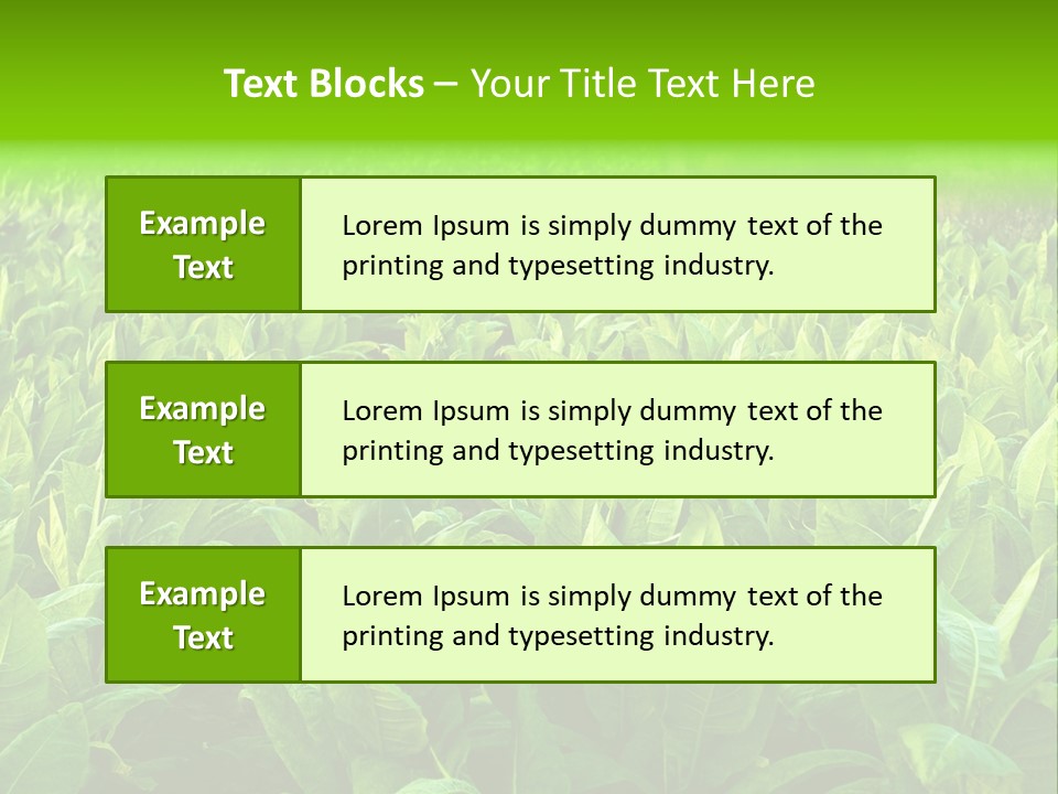 Farming Nature Plant PowerPoint Template
