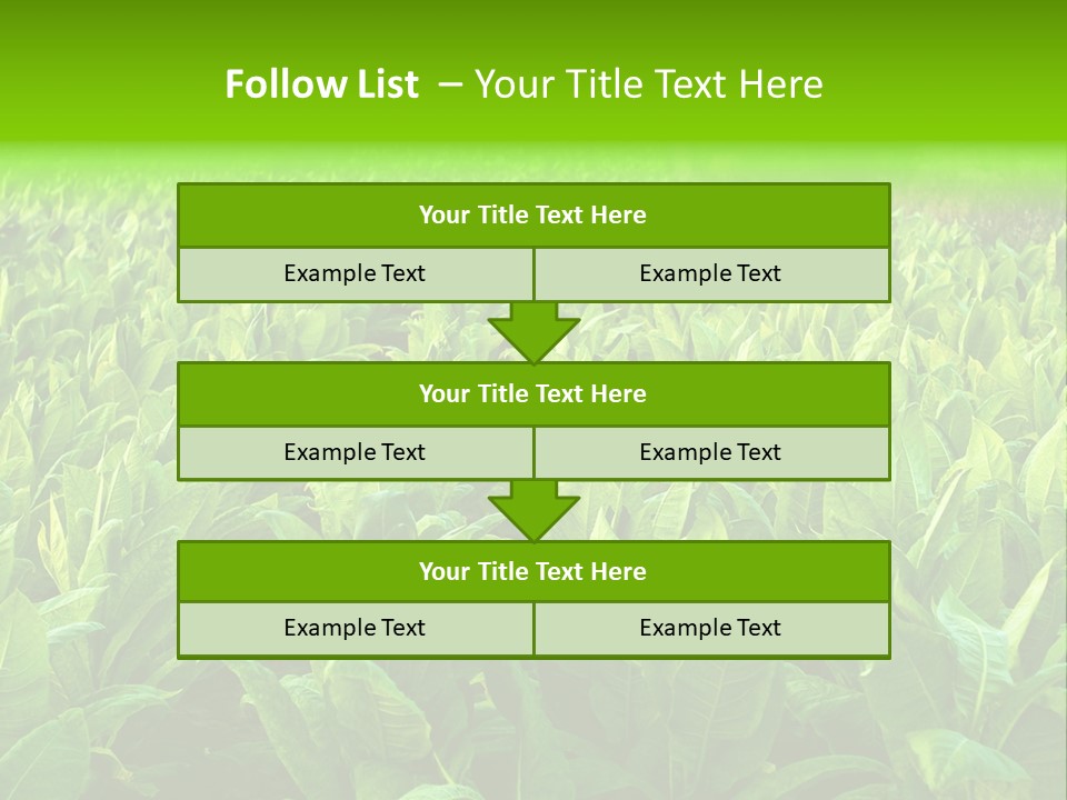Farming Nature Plant PowerPoint Template