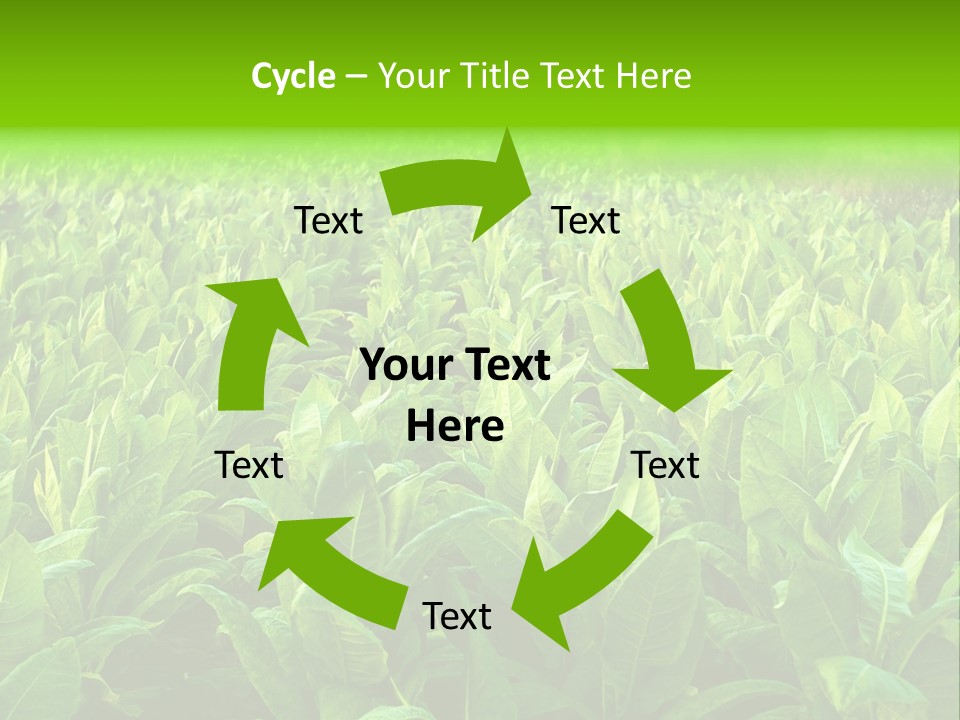 Farming Nature Plant PowerPoint Template