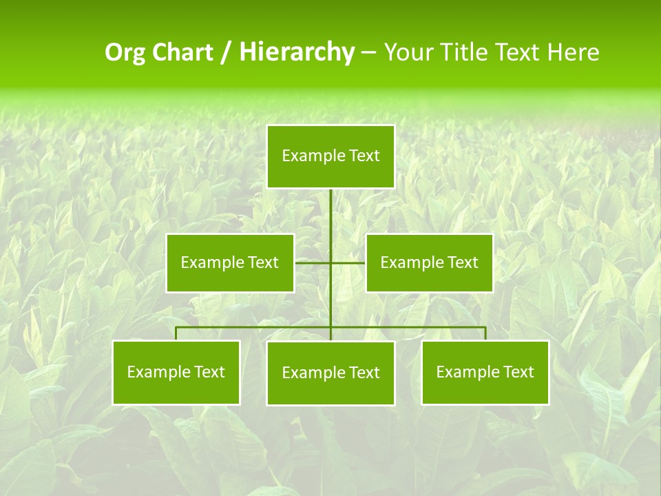 Farming Nature Plant PowerPoint Template