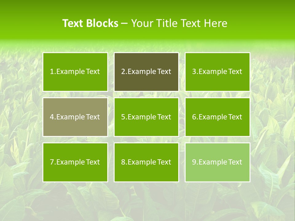 Farming Nature Plant PowerPoint Template