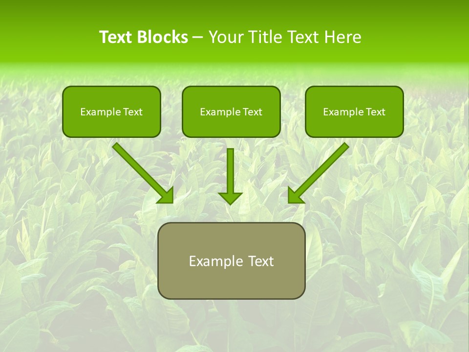 Farming Nature Plant PowerPoint Template