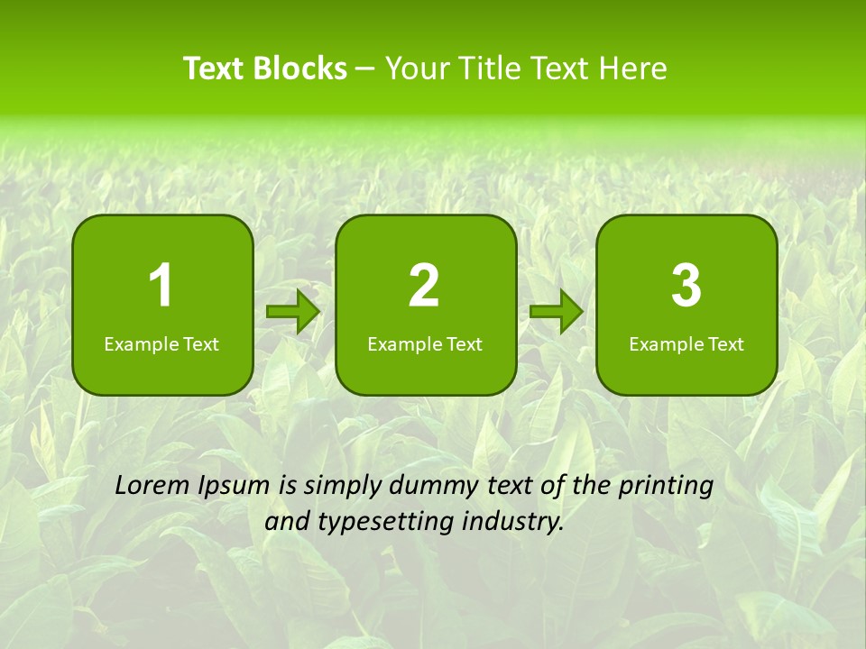 Farming Nature Plant PowerPoint Template