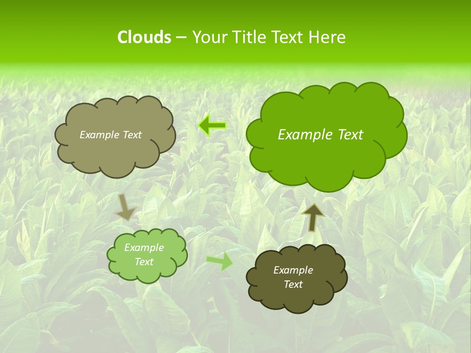 Farming Nature Plant PowerPoint Template