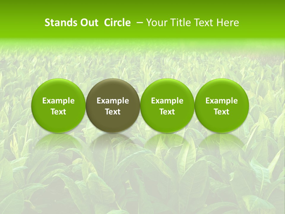 Farming Nature Plant PowerPoint Template