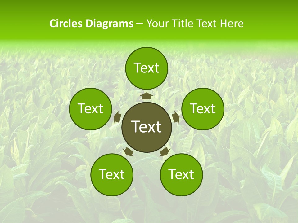 Farming Nature Plant PowerPoint Template