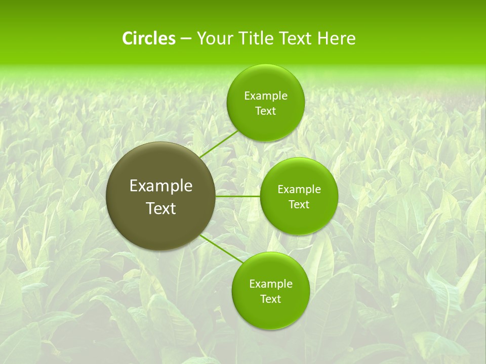 Farming Nature Plant PowerPoint Template