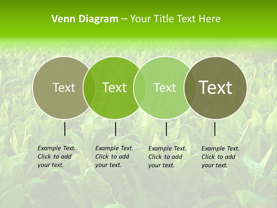 Farming Nature Plant PowerPoint Template