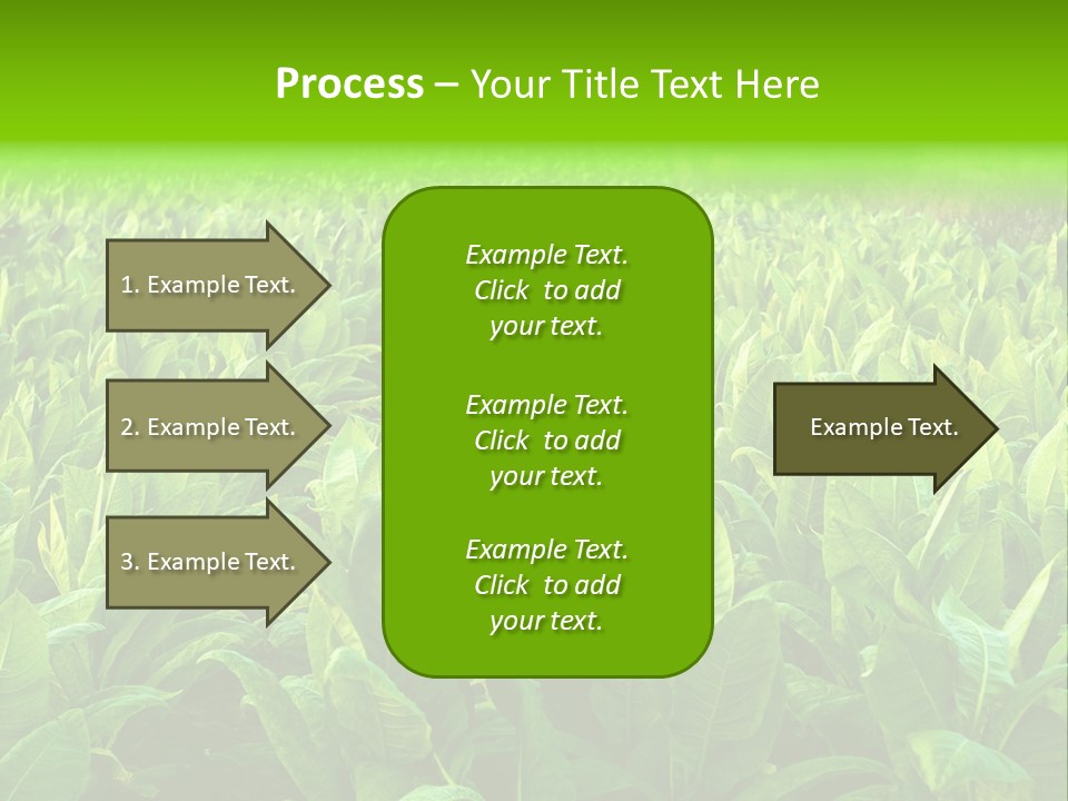 Farming Nature Plant PowerPoint Template