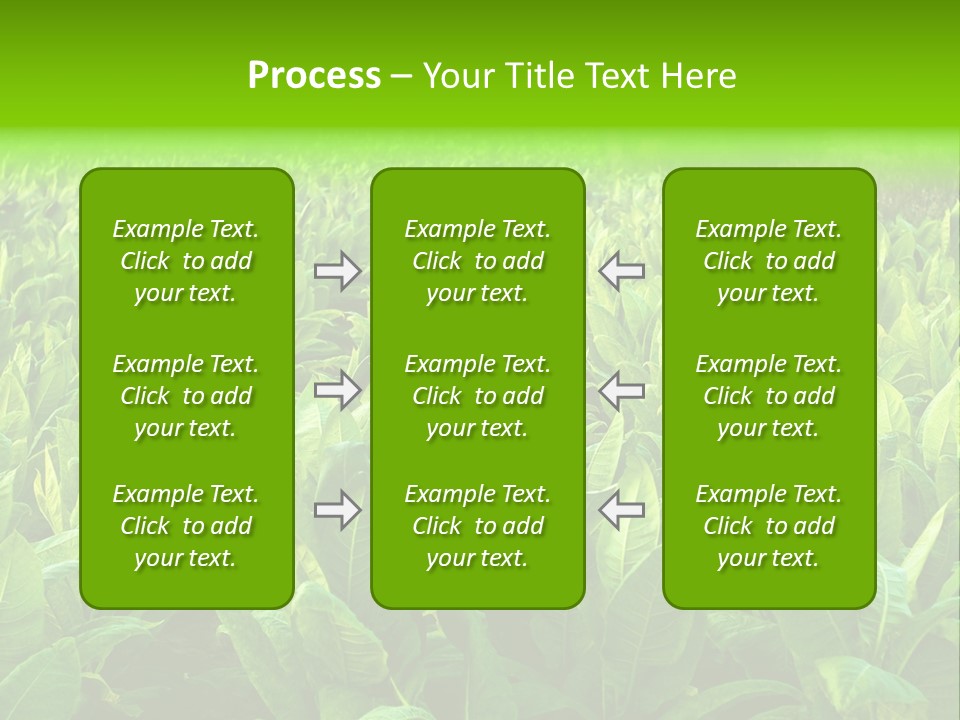 Farming Nature Plant PowerPoint Template