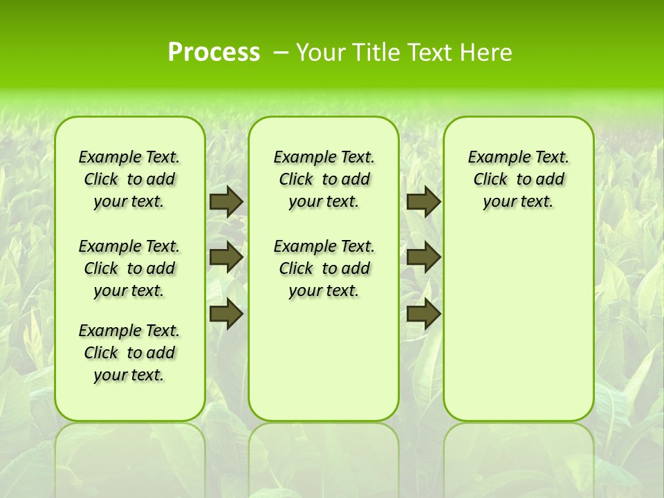 Farming Nature Plant PowerPoint Template