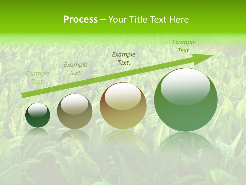 Farming Nature Plant PowerPoint Template