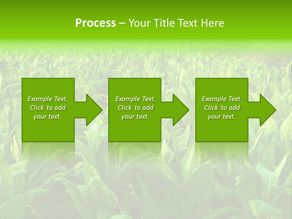Farming Nature Plant PowerPoint Template