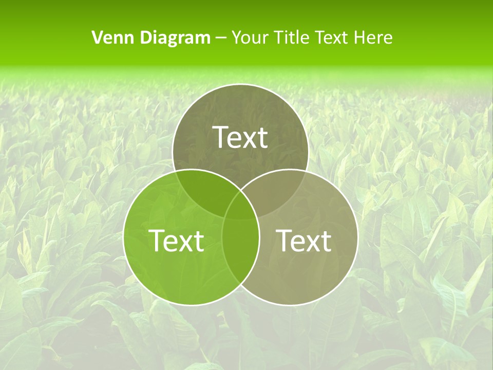 Farming Nature Plant PowerPoint Template