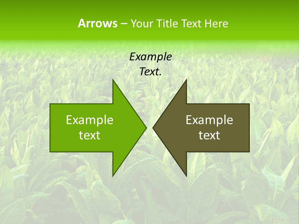 Farming Nature Plant PowerPoint Template