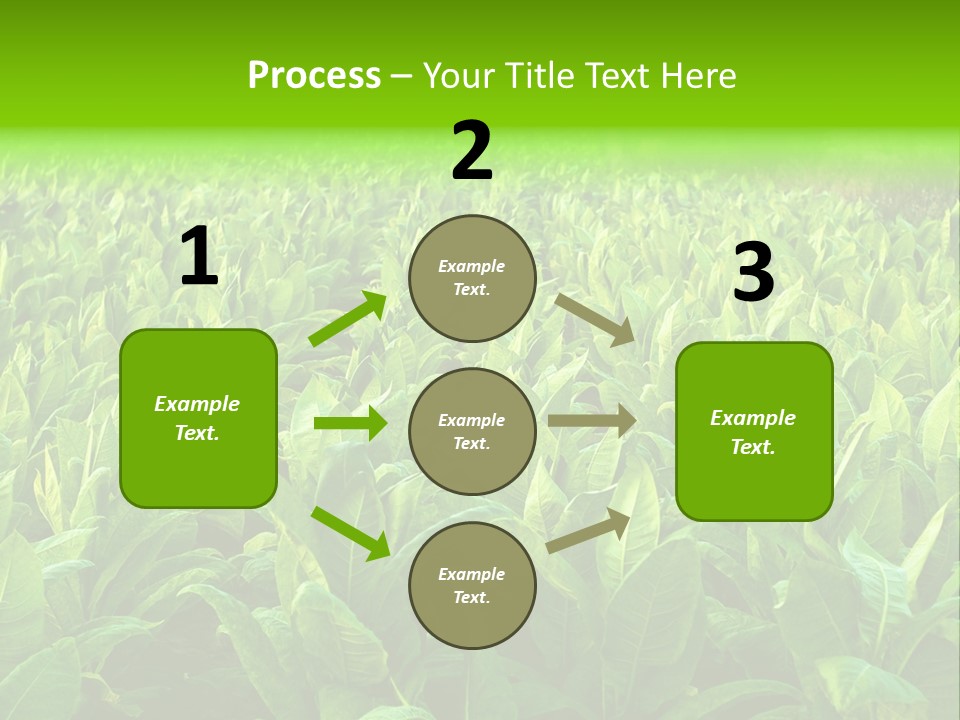 Farming Nature Plant PowerPoint Template