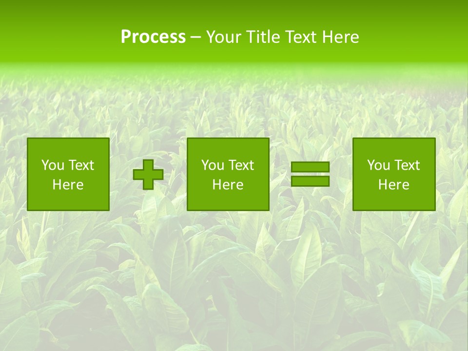 Farming Nature Plant PowerPoint Template