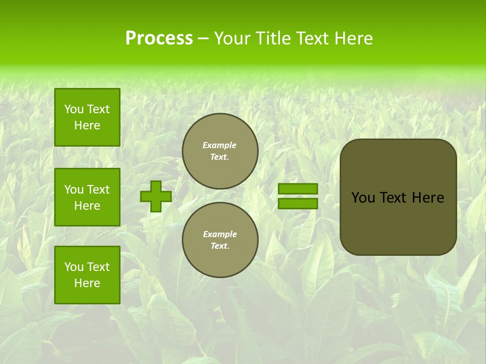 Farming Nature Plant PowerPoint Template