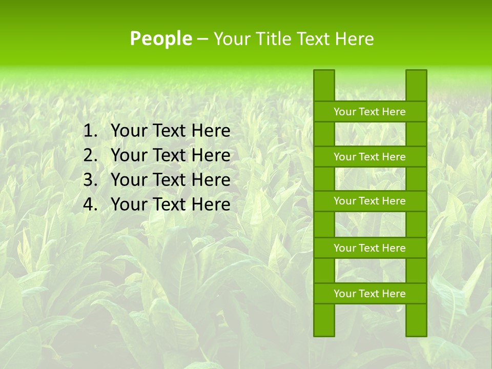Farming Nature Plant PowerPoint Template