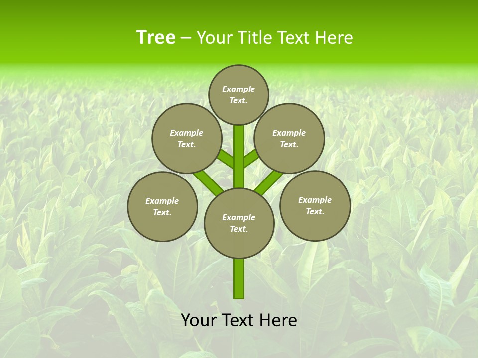 Farming Nature Plant PowerPoint Template