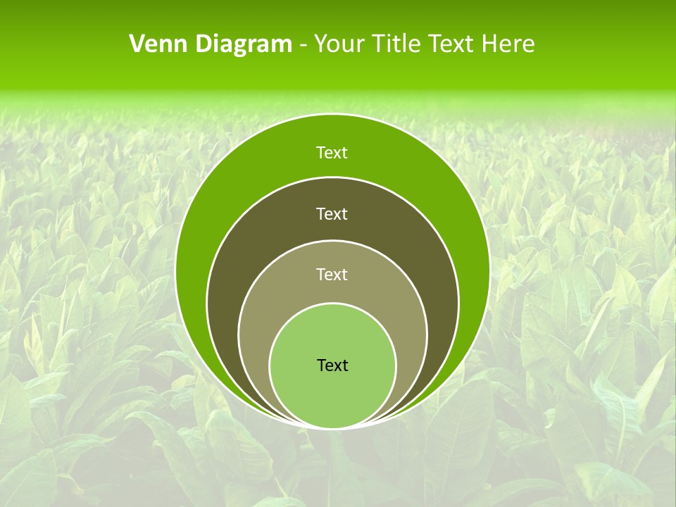 Farming Nature Plant PowerPoint Template