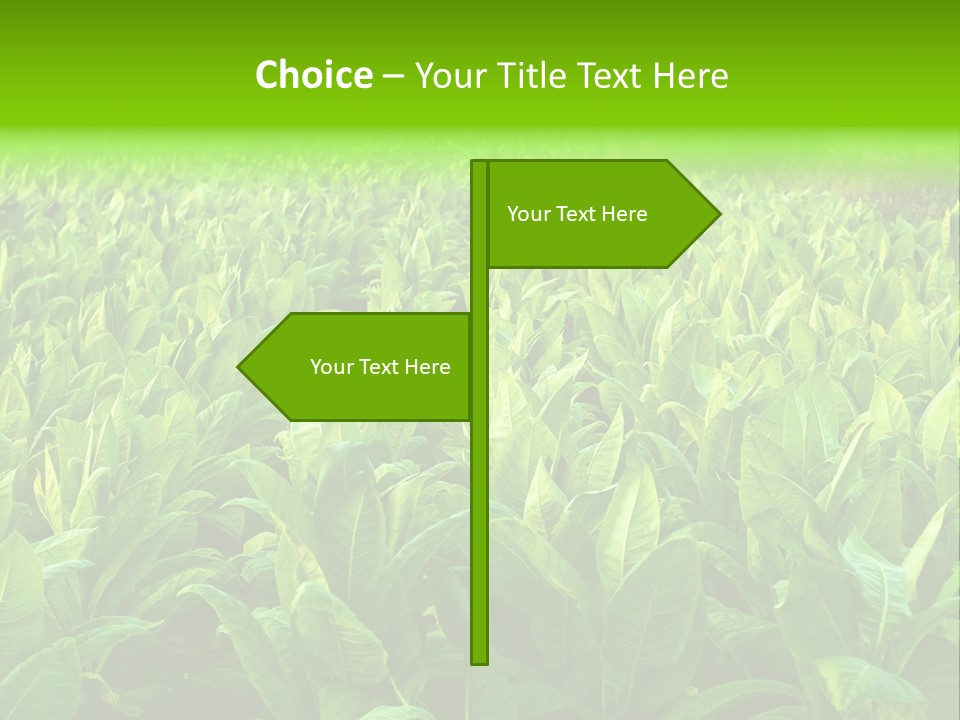 Farming Nature Plant PowerPoint Template