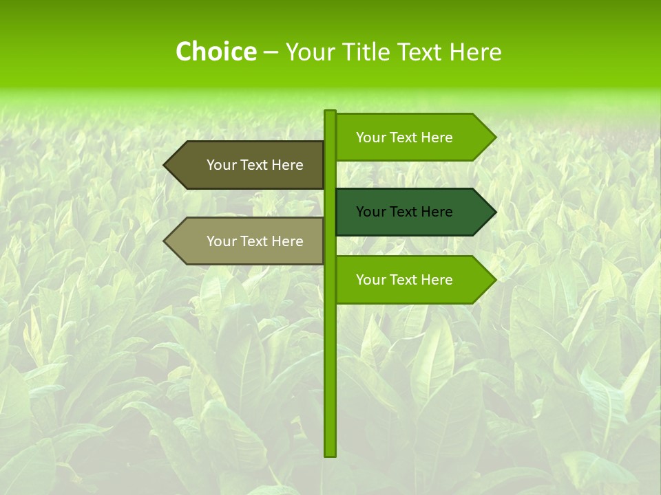 Farming Nature Plant PowerPoint Template