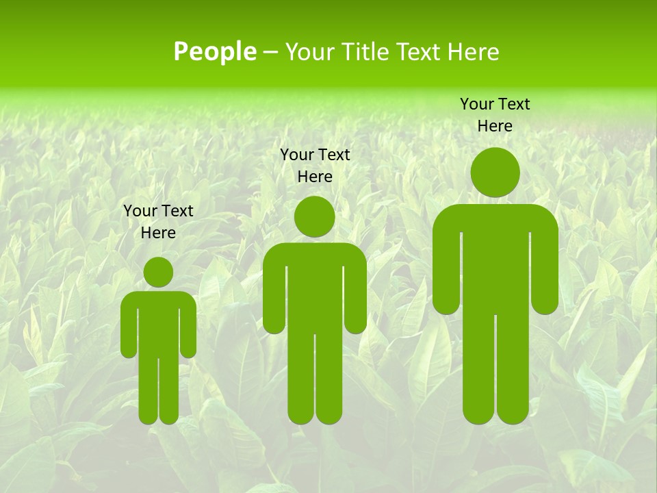 Farming Nature Plant PowerPoint Template