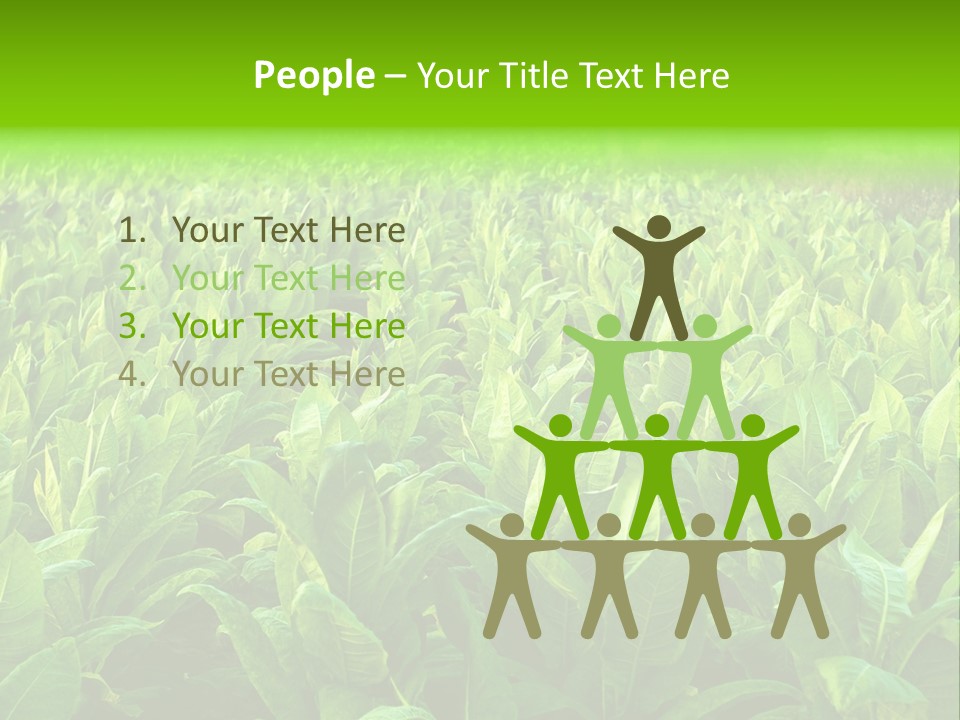 Farming Nature Plant PowerPoint Template