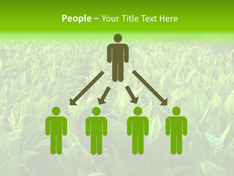 Farming Nature Plant PowerPoint Template