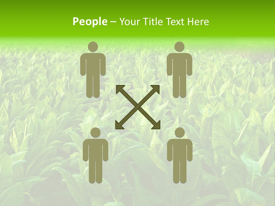 Farming Nature Plant PowerPoint Template