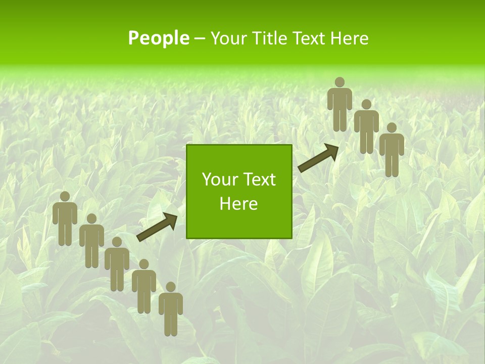Farming Nature Plant PowerPoint Template