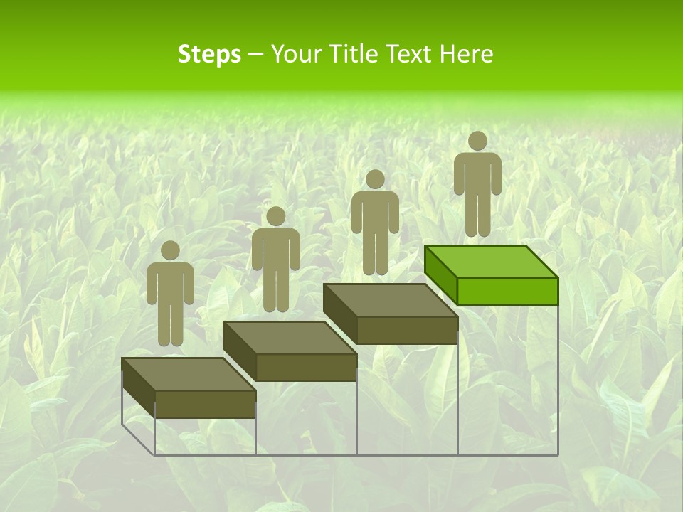 Farming Nature Plant PowerPoint Template