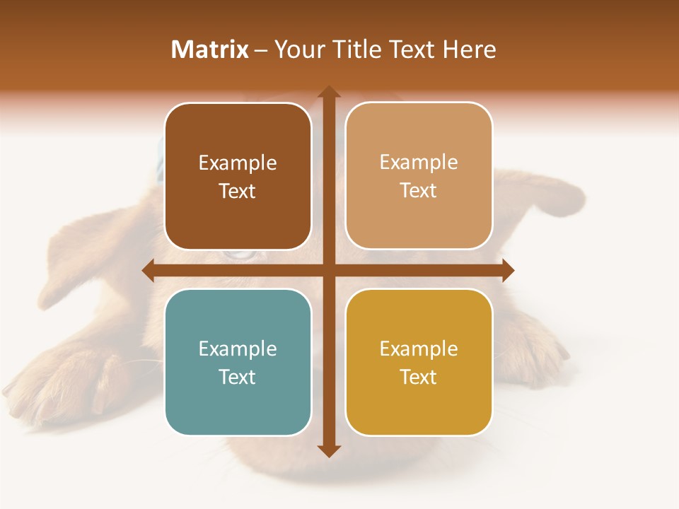 Resting Water Virus PowerPoint Template