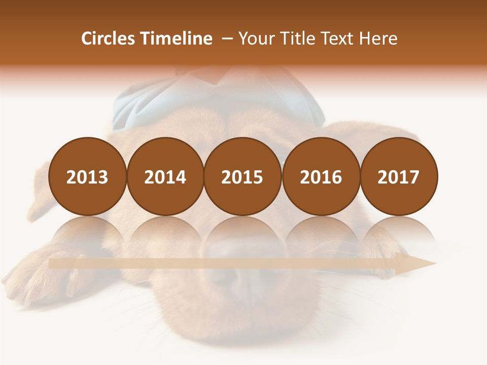 Resting Water Virus PowerPoint Template