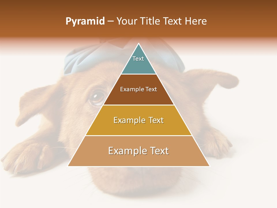 Resting Water Virus PowerPoint Template