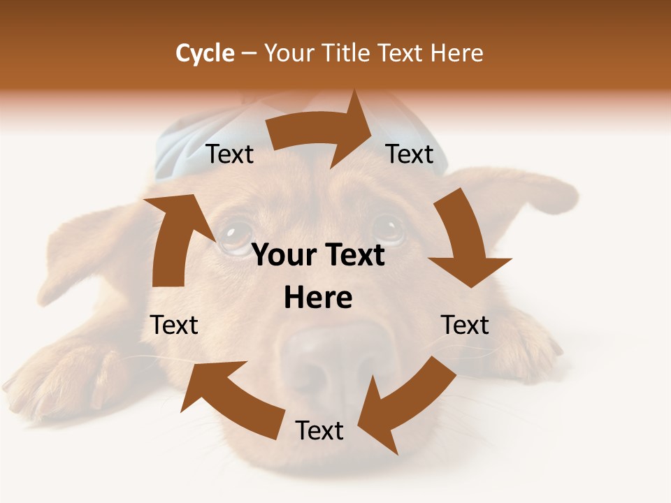 Resting Water Virus PowerPoint Template