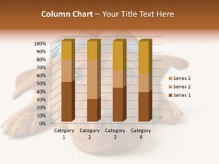 Resting Water Virus PowerPoint Template