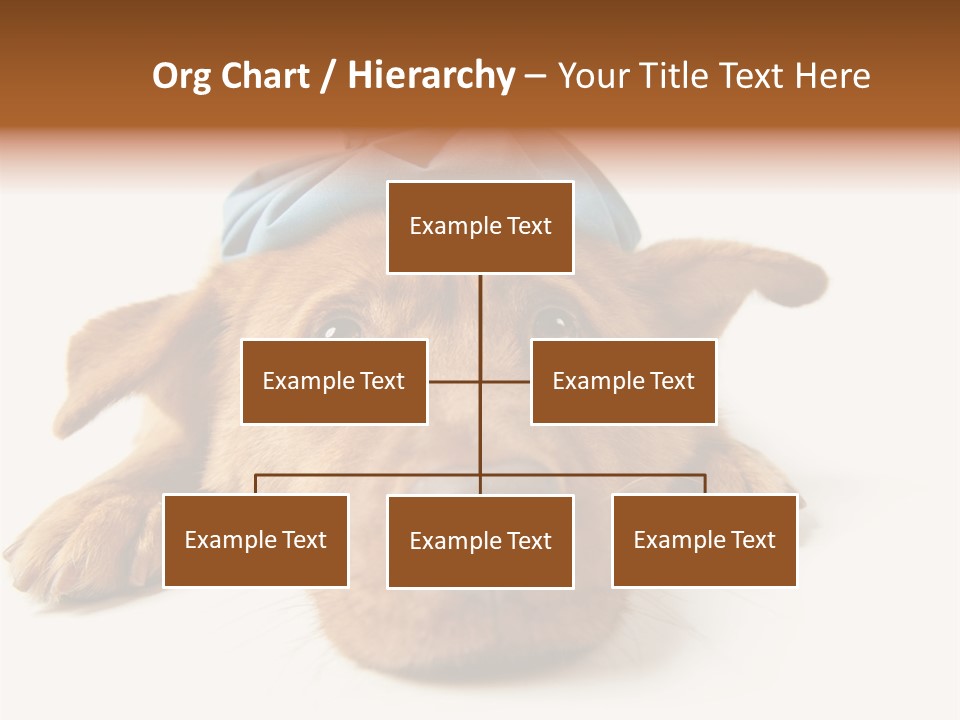 Resting Water Virus PowerPoint Template