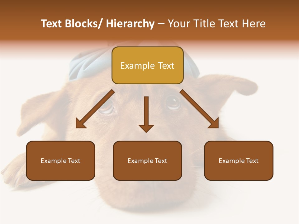 Resting Water Virus PowerPoint Template