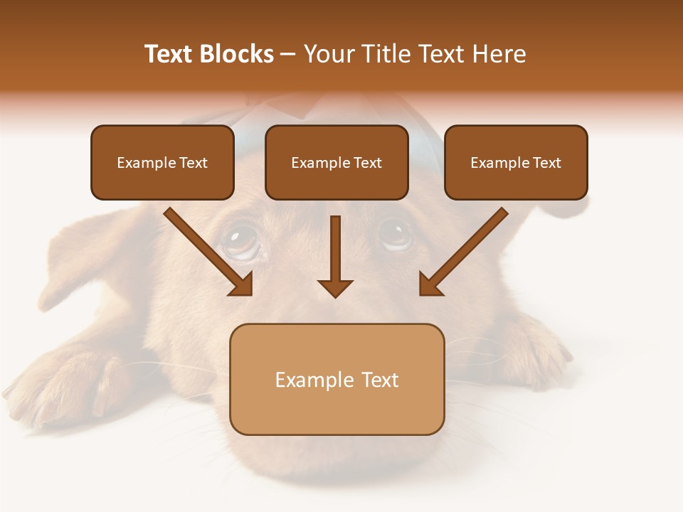 Resting Water Virus PowerPoint Template