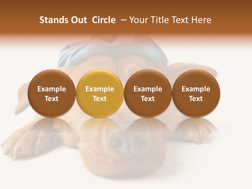 Resting Water Virus PowerPoint Template